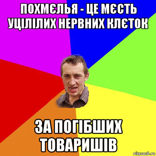 похмєлья - це мєсть уцілілих нервних клєток за погібших товаришів, Мем Чоткий паца