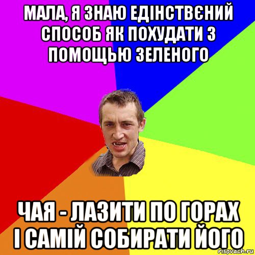 мала, я знаю едінствєний способ як похудати з помощью зеленого чая - лазити по горах і самій собирати його, Мем Чоткий паца