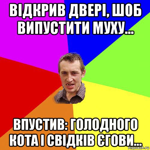 відкрив двері, шоб випустити муху... впустив: голодного кота і свідків єгови..., Мем Чоткий паца