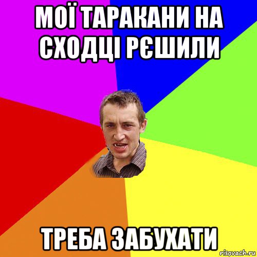 мої таракани на сходці рєшили треба забухати, Мем Чоткий паца