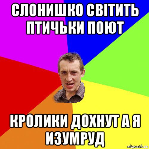 слонишко світить птичьки поют кролики дохнут а я изумруд, Мем Чоткий паца