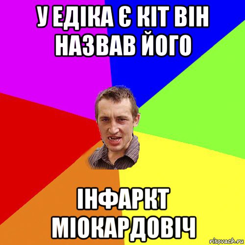 у едіка є кіт він назвав його інфаркт міокардовіч, Мем Чоткий паца