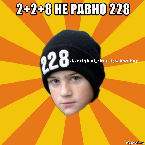 2+2+8 не равно 228 , Мем  Циничный школьник