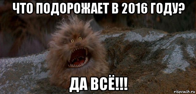 что подорожает в 2016 году? да всё!!!