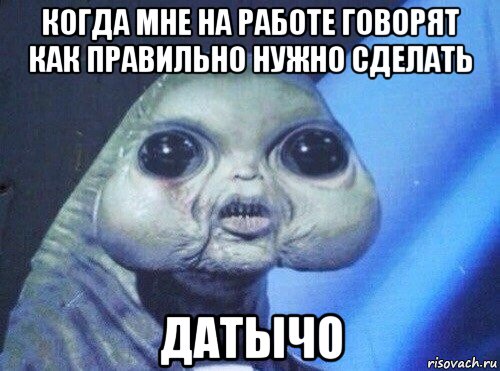 когда мне на работе говорят как правильно нужно сделать датычо