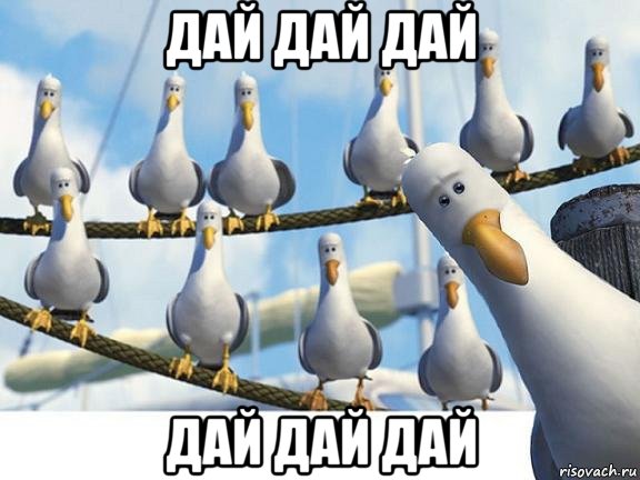 дай дай дай дай дай дай