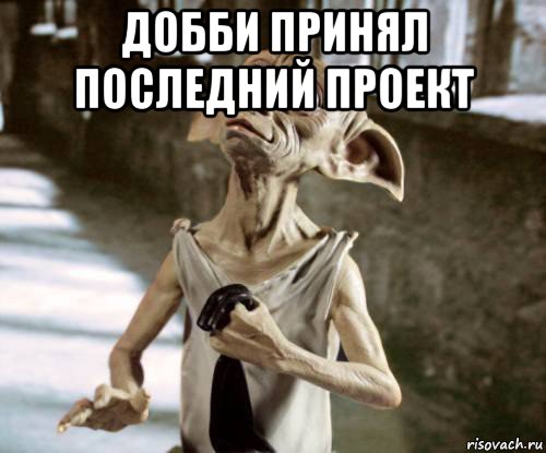 добби принял последний проект 