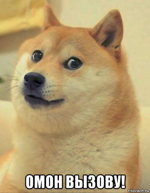  омон вызову!, Мем doge woof