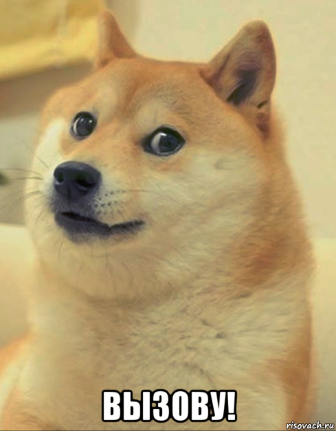  вызову!, Мем doge woof