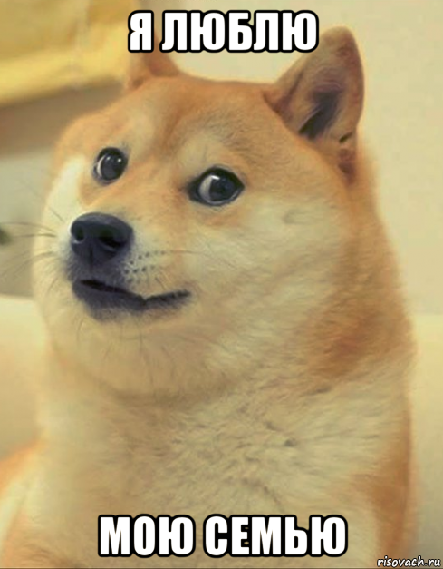 я люблю мою семью, Мем doge woof