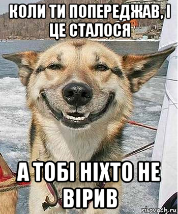 коли ти попереджав, і це сталося а тобі ніхто не вірив, Мем Довольный пес