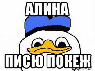 алина писю покеж, Мем Duck Angel