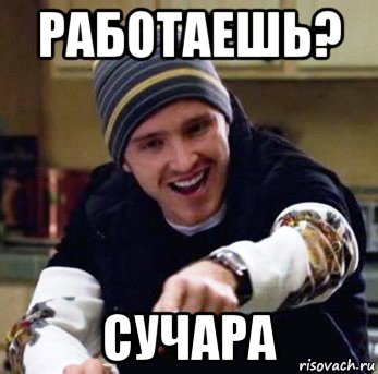 работаешь? сучара