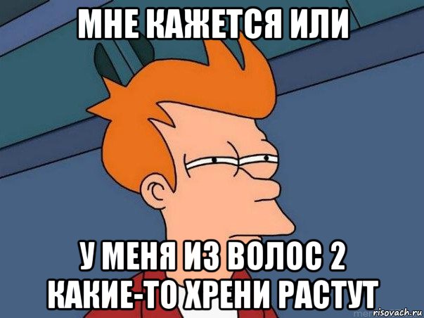 мне кажется или у меня из волос 2 какие-то хрени растут, Мем  Фрай (мне кажется или)