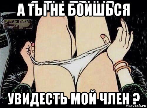 а ты не боишься увидесть мой член ?