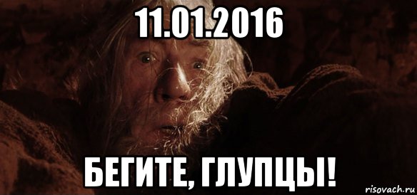 11.01.2016 бегите, глупцы!, Мем Гендальф (Бегите глупцы)