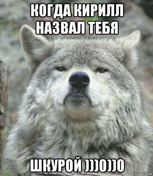 когда кирилл назвал тебя шкурой )))0))0, Мем    Гордый волк