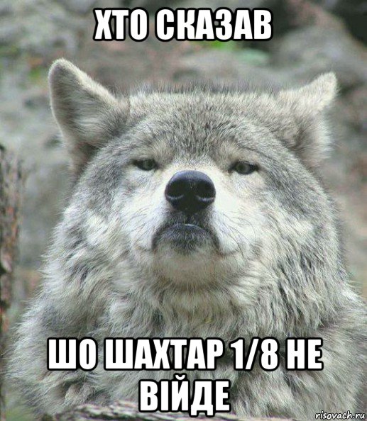 хто сказав шо шахтар 1/8 не війде, Мем    Гордый волк