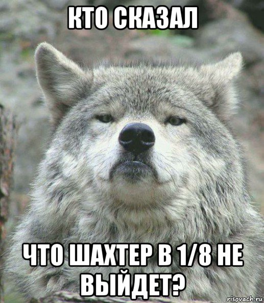 кто сказал что шахтер в 1/8 не выйдет?, Мем    Гордый волк