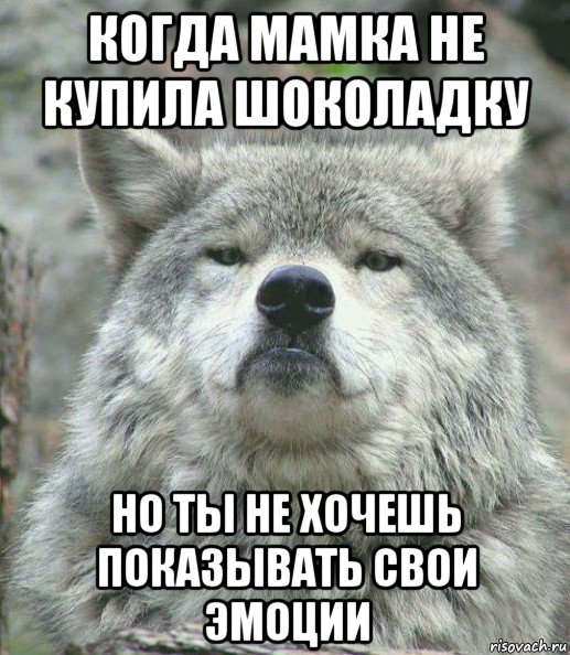 когда мамка не купила шоколадку но ты не хочешь показывать свои эмоции, Мем    Гордый волк