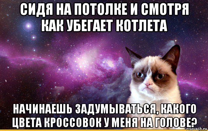 сидя на потолке и смотря как убегает котлета начинаешь задумываться, какого цвета кроссовок у меня на голове?, Мем grumpy cat космос