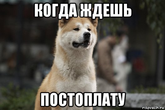 когда ждешь постоплату, Мем хатико