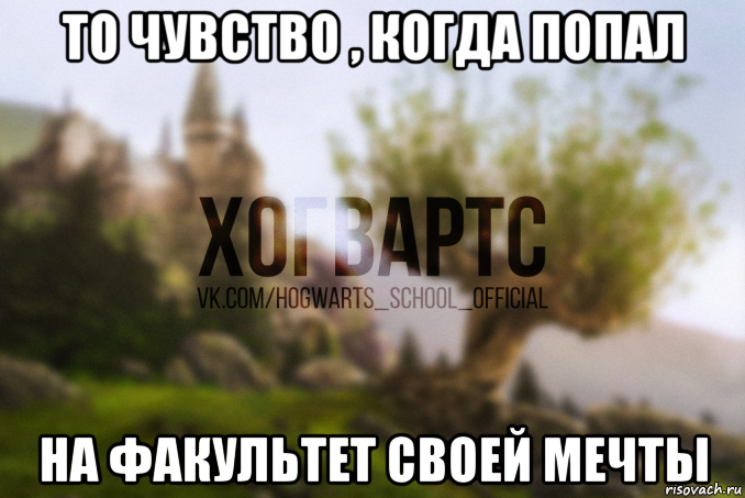 то чувство , когда попал на факультет своей мечты