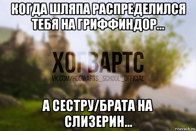 когда шляпа распределился тебя на гриффиндор... а сестру/брата на слизерин...