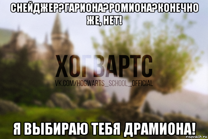 снейджер?гариона?ромиона?конечно же, нет! я выбираю тебя драмиона!