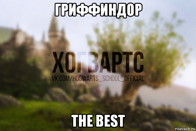 гриффиндор the best