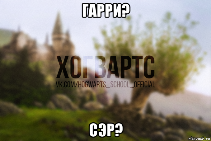 гарри? сэр?