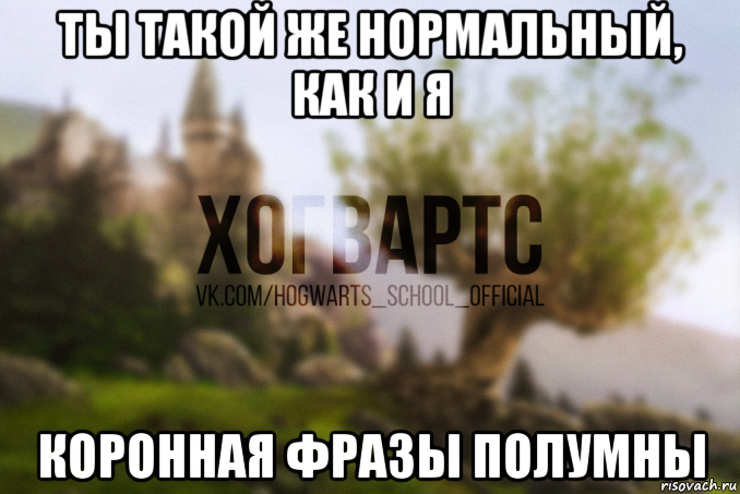 ты такой же нормальный, как и я коронная фразы полумны