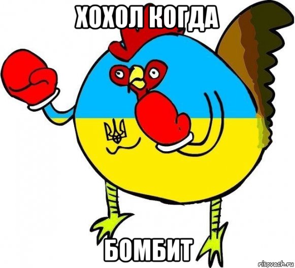 хохол когда бомбит