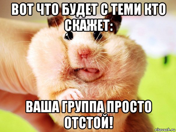 вот что будет с теми кто скажет: ваша группа просто отстой!, Мем хомяк