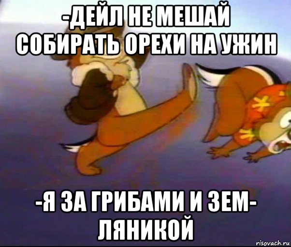 -дейл не мешай собирать орехи на ужин -я за грибами и зем- ляникой