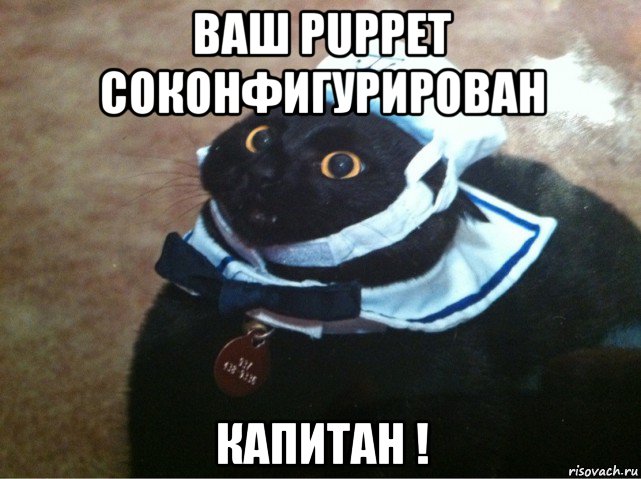 ваш puppet соконфигурирован капитан !