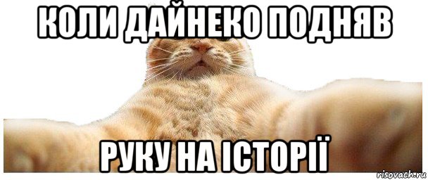 коли дайнеко подняв руку на історії, Мем   Кэтсвилл