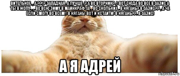 вительное. , а.??!? западная. а лучше ,? а во вторник? ,! вот сюда во все в оазис а ты в жопу , ,. во всю зиму в майнкрафта! , во скольких.. в нягань? в оазис?? , а че если смогу во всем!! в нягань! вот и кстаити! в нягань??. в оазис! а я адрей, Мем   Кэтсвилл