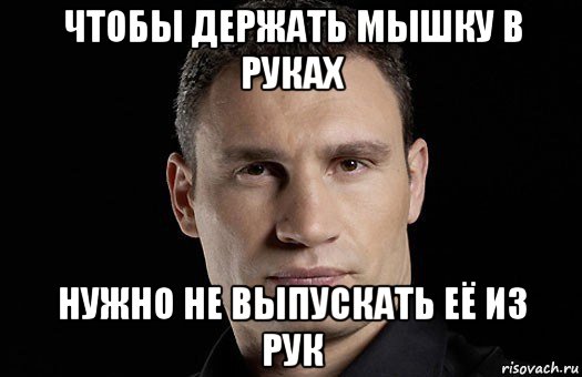 чтобы держать мышку в руках нужно не выпускать её из рук, Мем Кличко