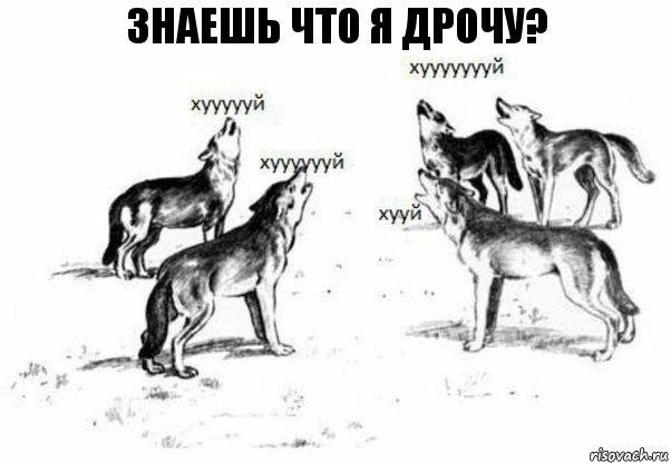 Знаешь что я дрочу?, Комикс Когда хочешь