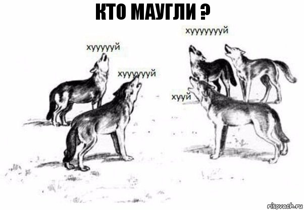 Кто Маугли ?, Комикс Когда хочешь