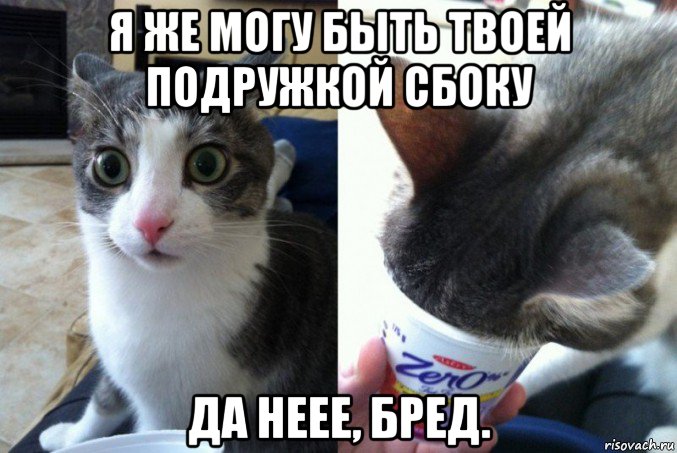 я же могу быть твоей подружкой сбоку да неее, бред.