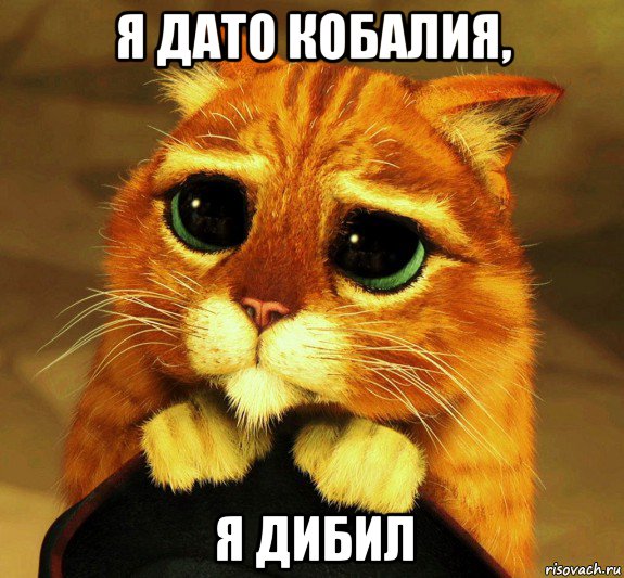 я дато кобалия, я дибил