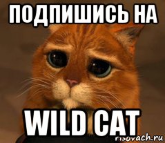 подпишись на wild cat, Мем Кот из Шрека