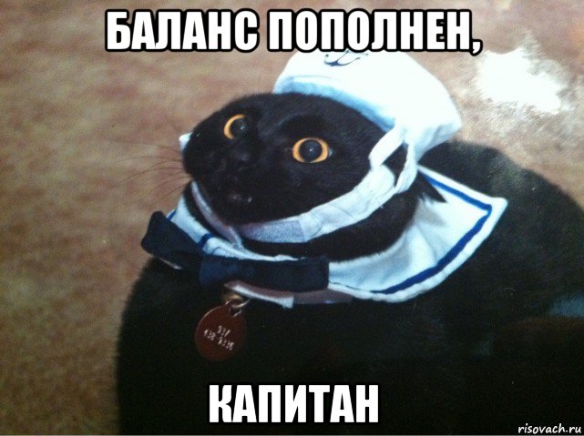 баланс пополнен, капитан, Мем Кот-матрос