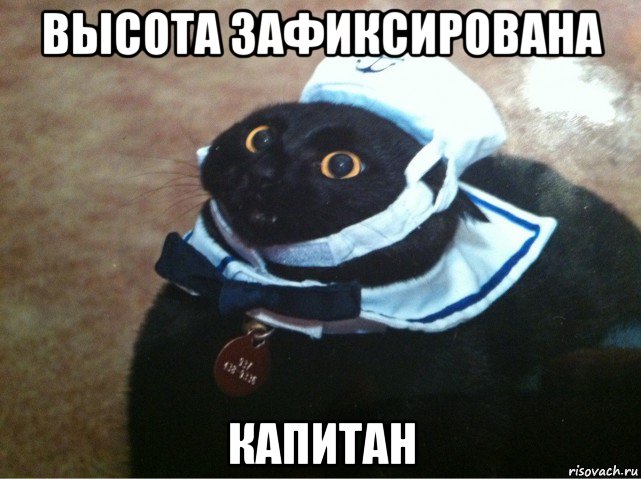 высота зафиксирована капитан, Мем Кот-матрос