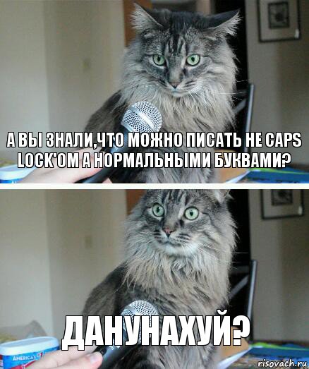 а вы знали,что можно писать не Caps lock'ом а нормальными буквами? ДАНУНАХУЙ?, Комикс  кот с микрофоном