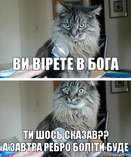 ви вірете в бога ти шось сказав??
а завтра ребро боліти буде, Комикс  кот с микрофоном