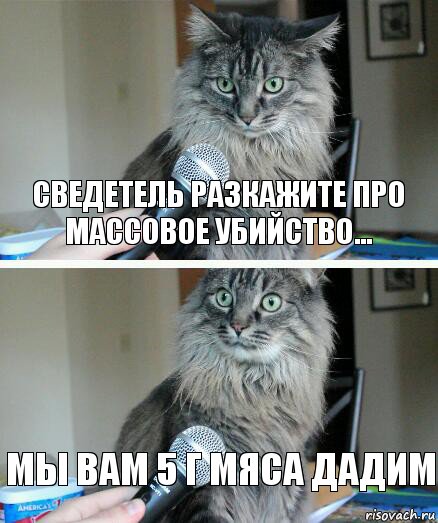 сведетель разкажите про массовое убийство... мы вам 5 г мяса дадим, Комикс  кот с микрофоном