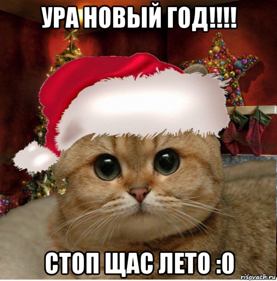 ура новый год!!!! стоп щас лето :0